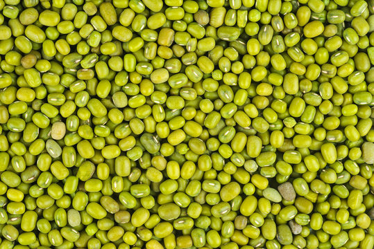 Green Gram